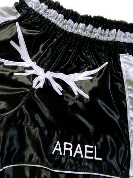 Arael Muay Thai shorts